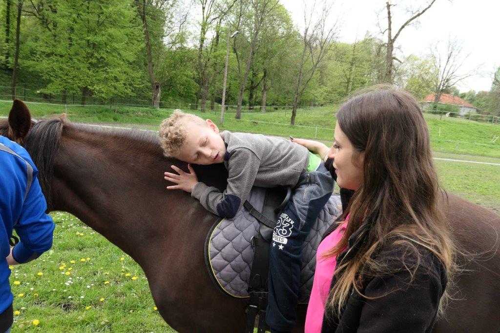 Hippotherapy classes